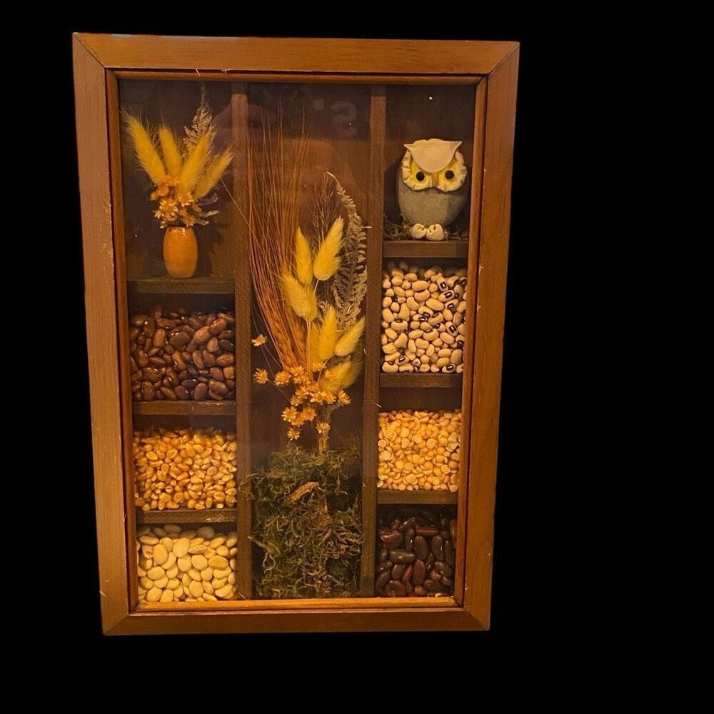 Vintage 1970’s Farmhouse Shadowbox  Owl Beans 15” x 10”